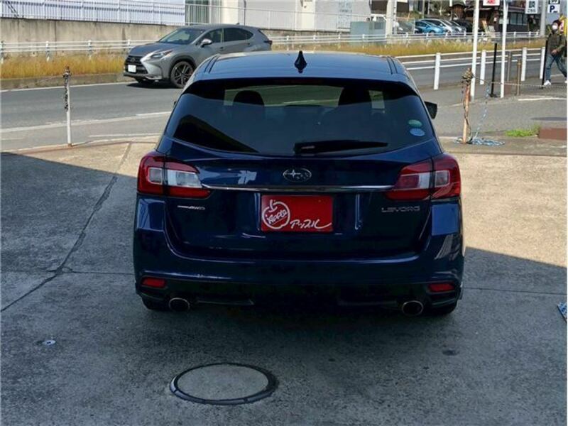 LEVORG-5