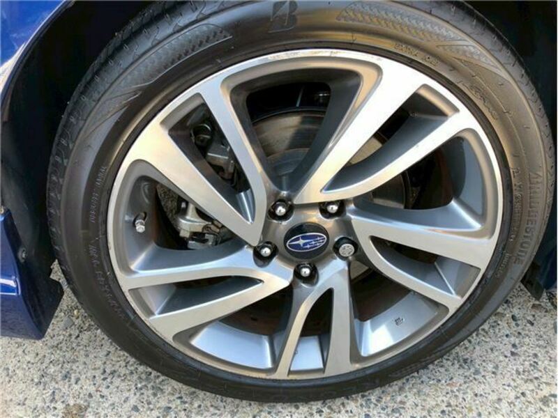 LEVORG-8