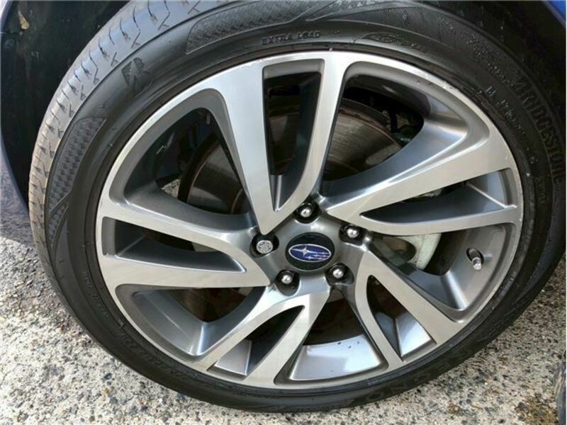LEVORG-10