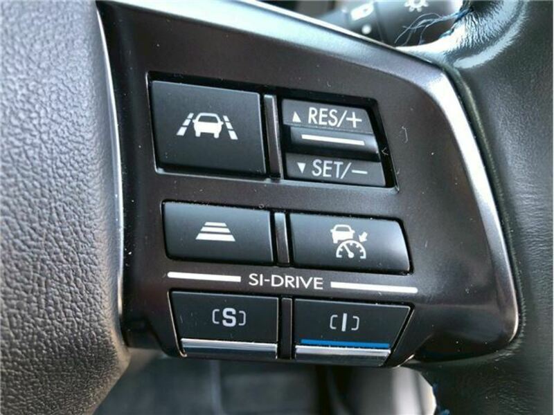 LEVORG-21