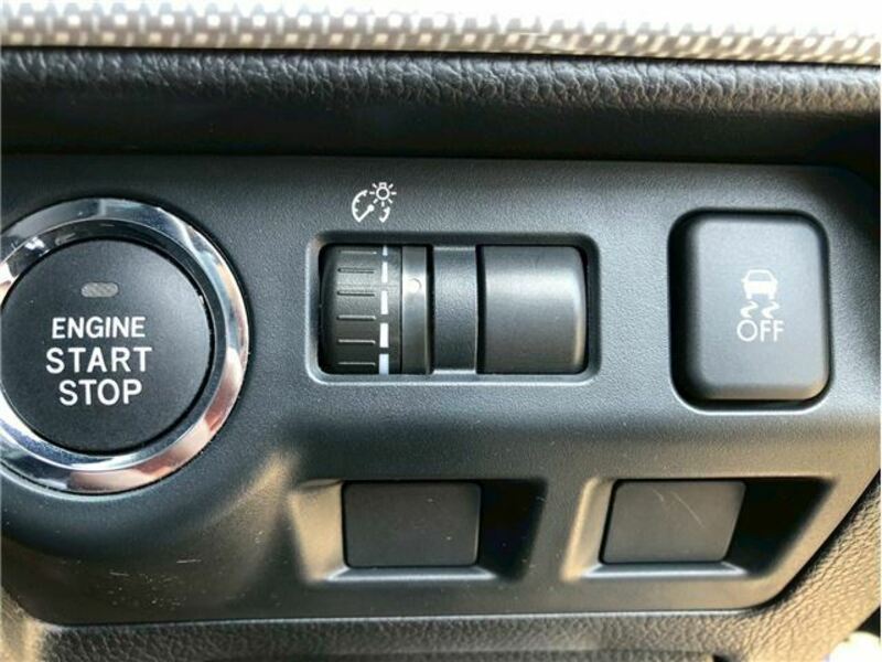 LEVORG-24