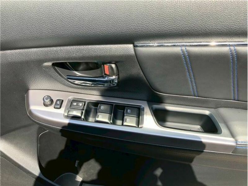 LEVORG-30