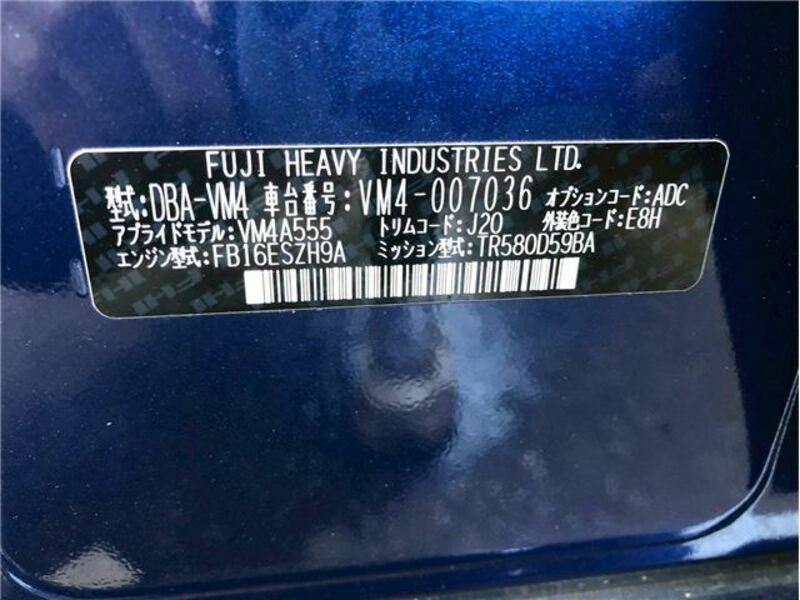 LEVORG-36