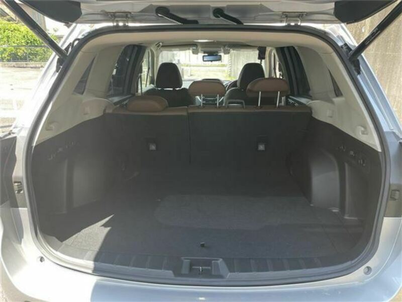 FORESTER-29