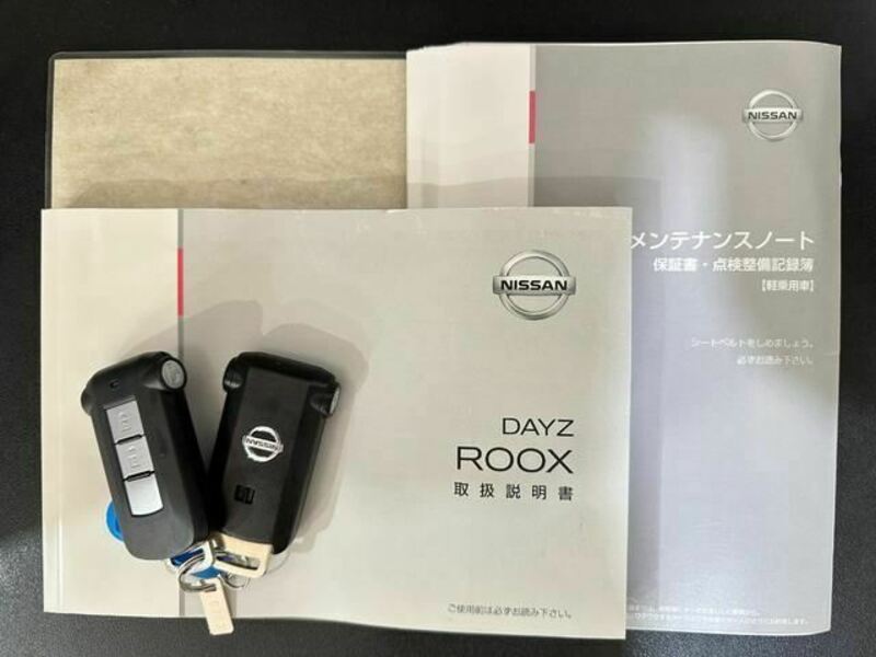 DAYZ ROOX-30