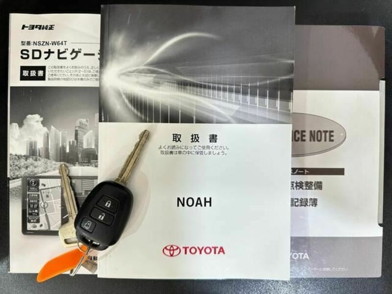 NOAH-31