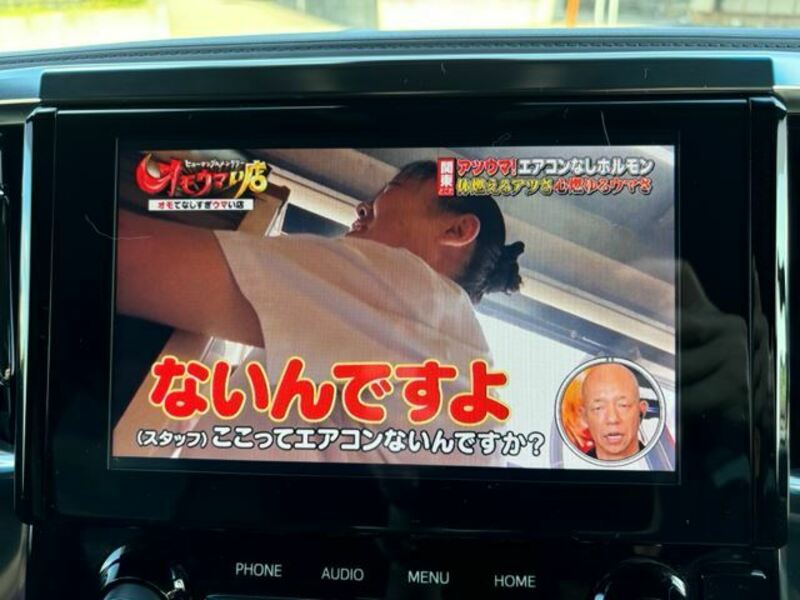 ALPHARD-10
