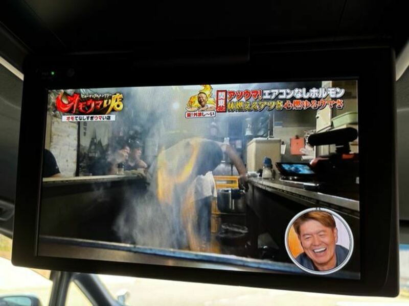 ALPHARD-15
