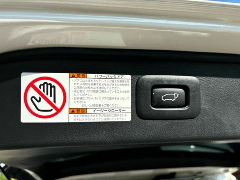 ALPHARD-17