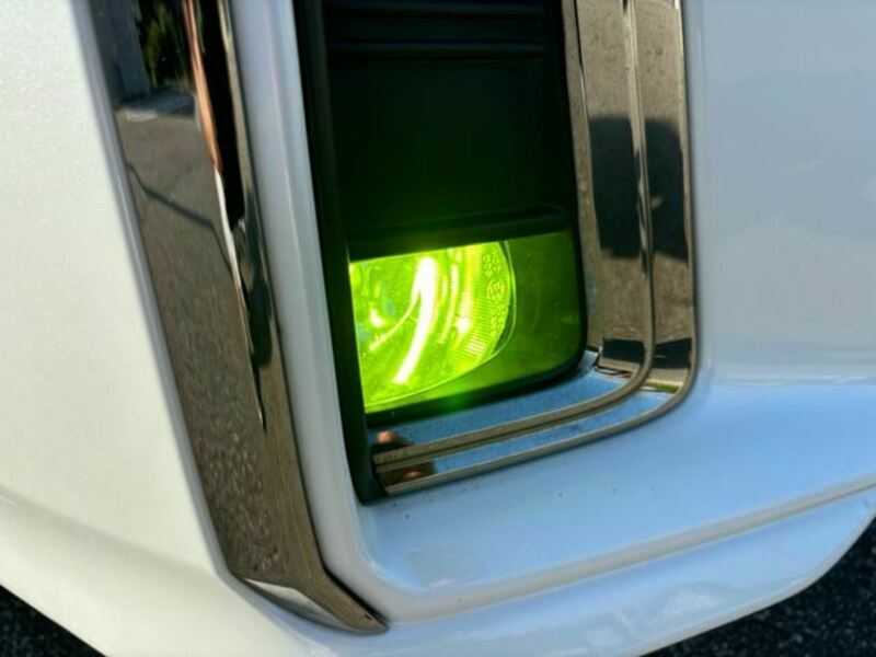 ALPHARD-19