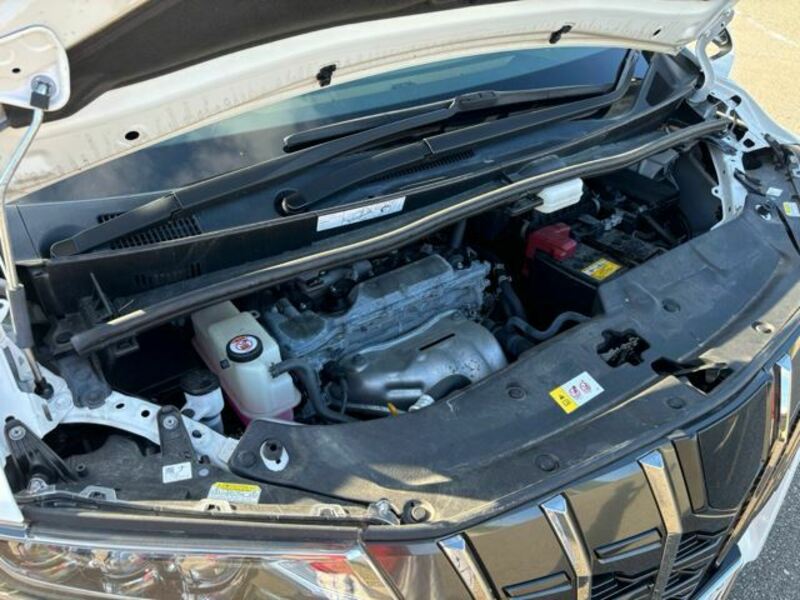 ALPHARD-20