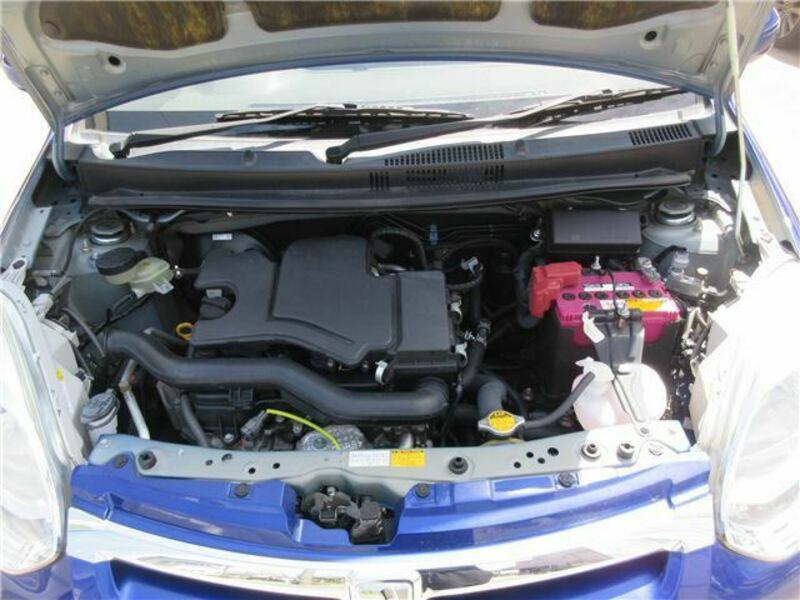 PASSO-21
