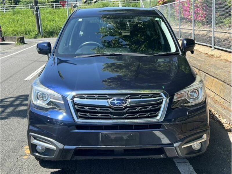 FORESTER-2