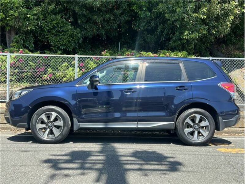 FORESTER-4