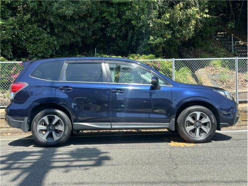 FORESTER-5