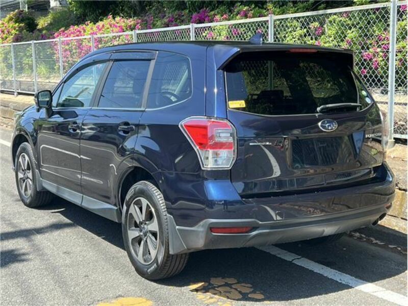 FORESTER-6