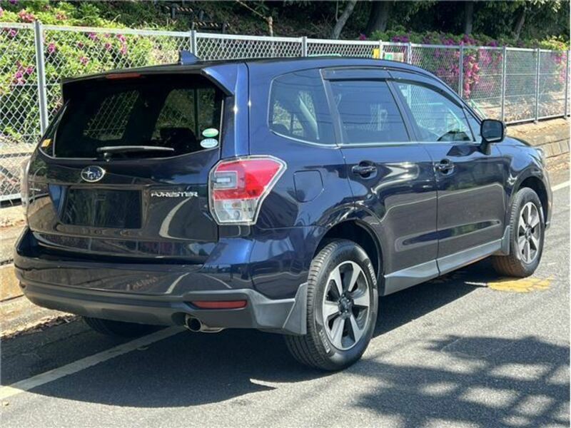 FORESTER-8