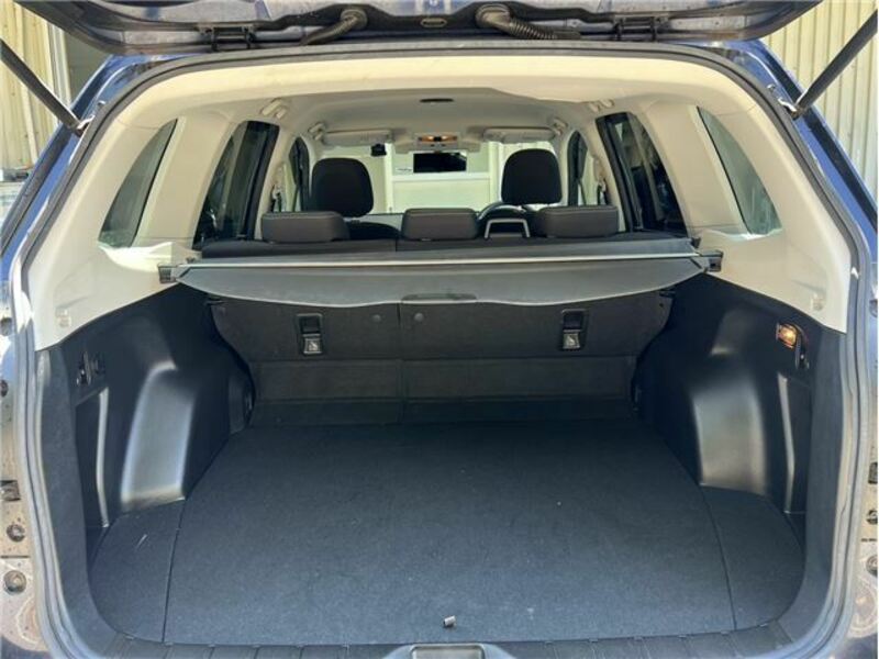 FORESTER-27