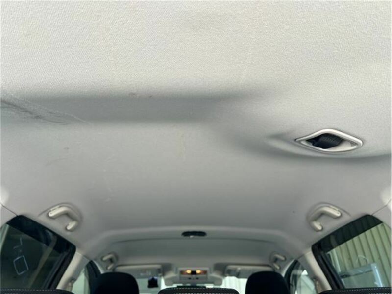 FORESTER-28