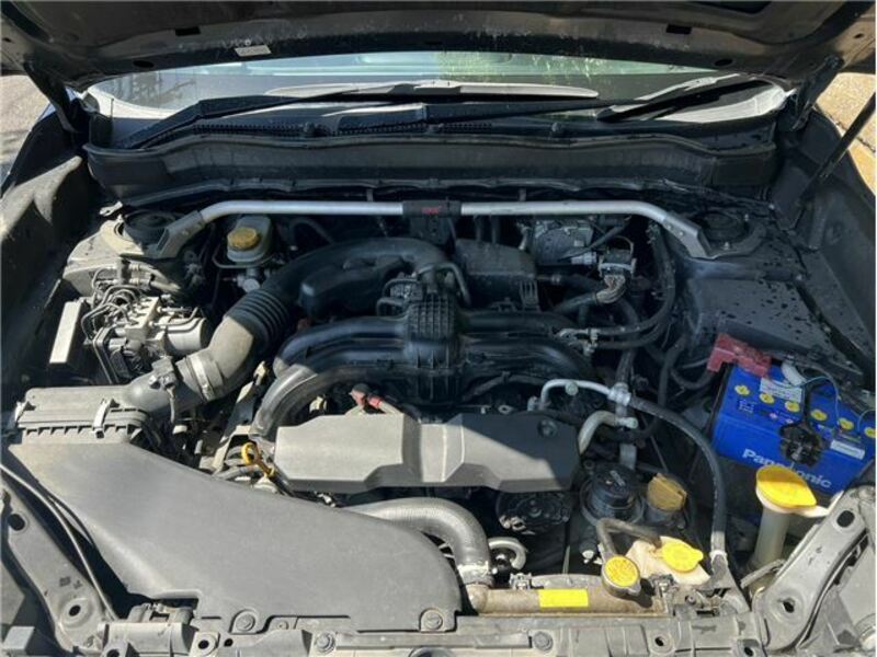FORESTER-31