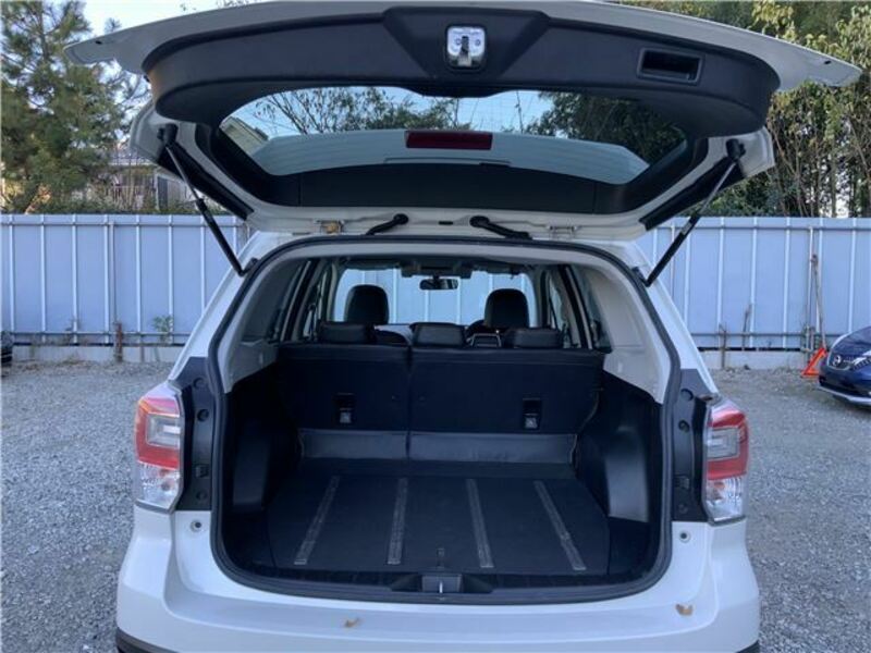 FORESTER-12