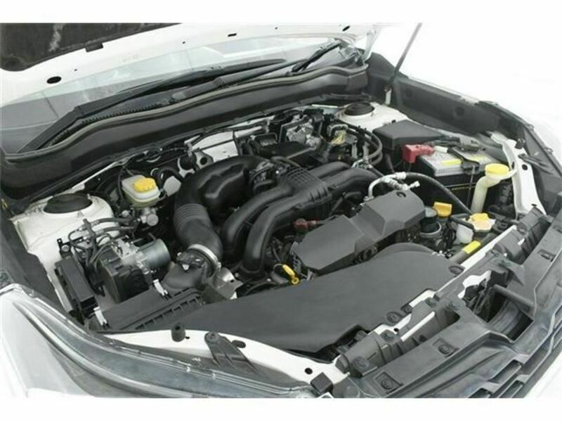 FORESTER-14