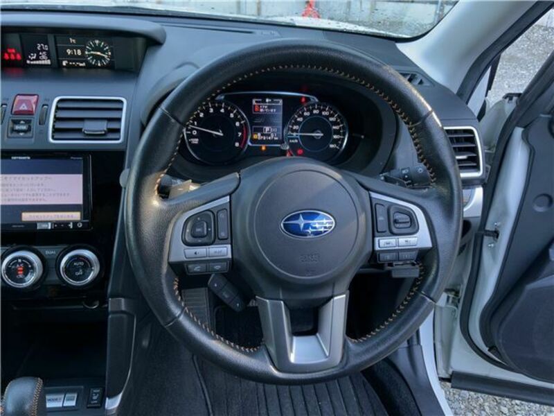 FORESTER-22