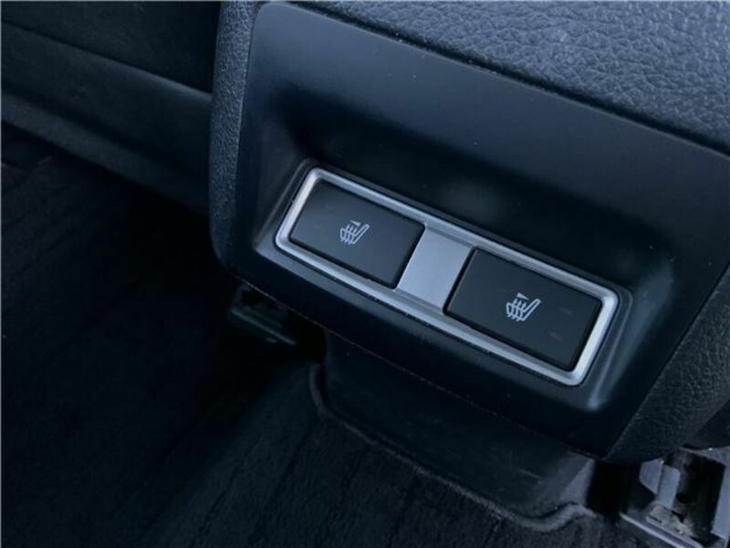 FORESTER-24