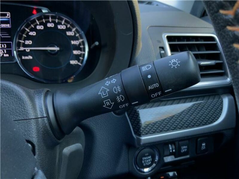 FORESTER-29