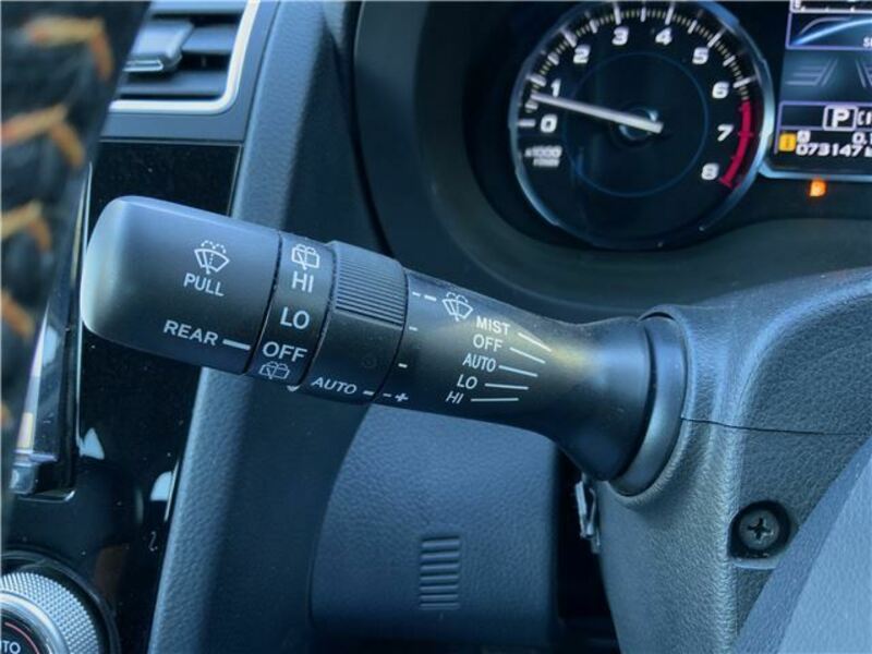 FORESTER-30
