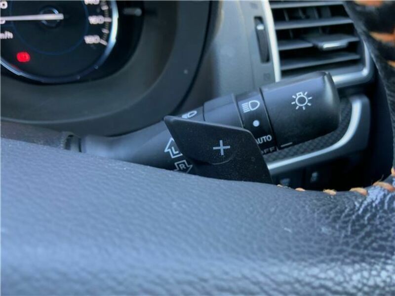 FORESTER-31