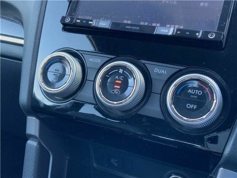FORESTER-38