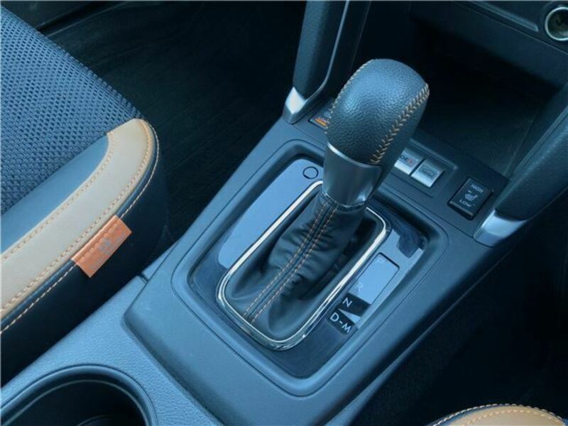 FORESTER-41