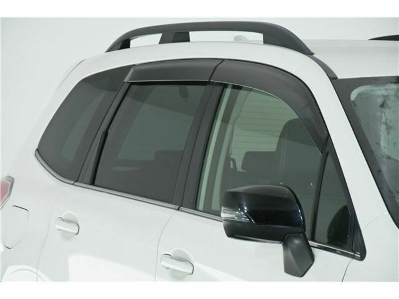 FORESTER-3