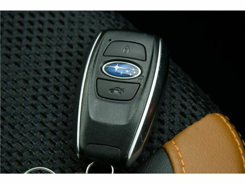 FORESTER-8