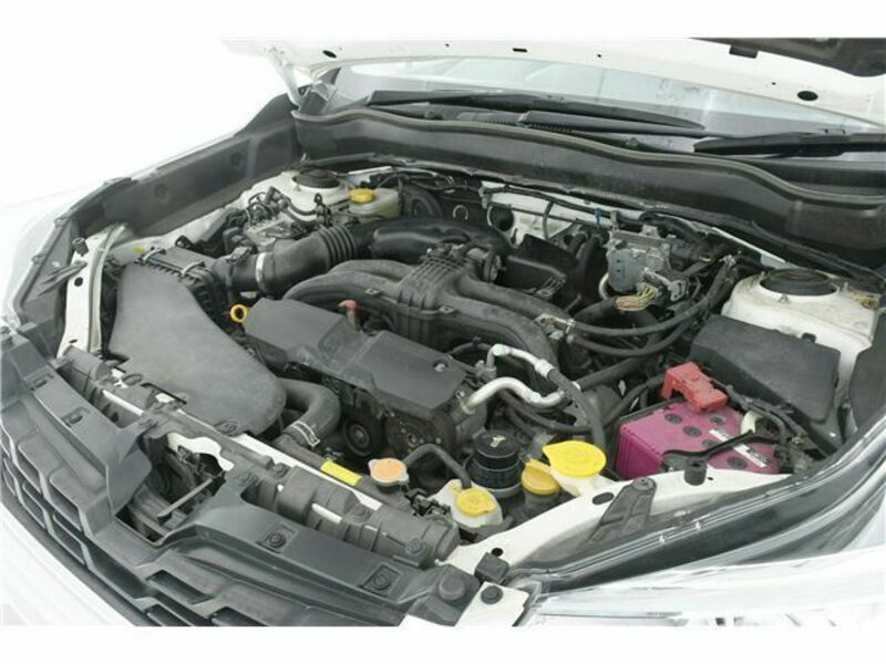 FORESTER-10