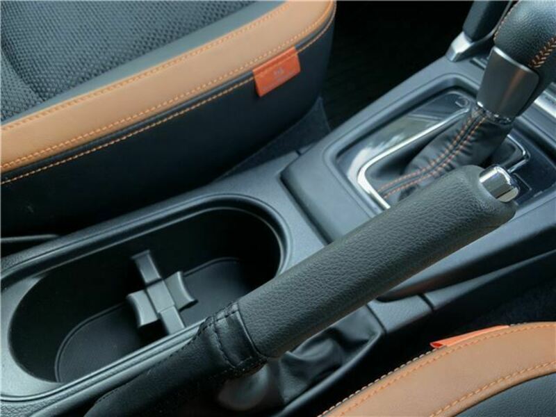 FORESTER-17