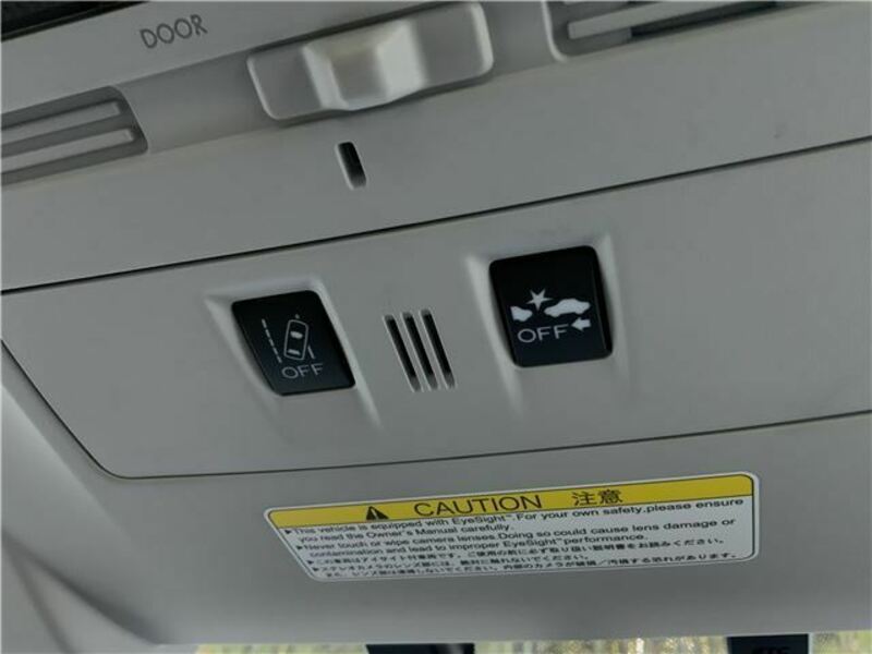 FORESTER-23