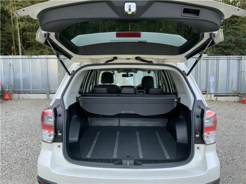 FORESTER-24
