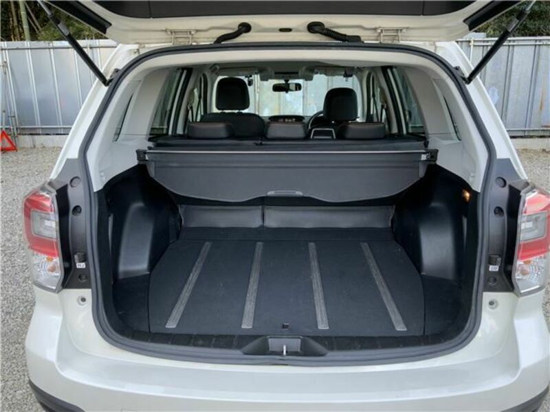FORESTER-25