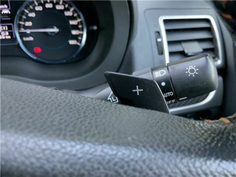 FORESTER-42