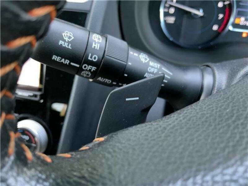 FORESTER-43