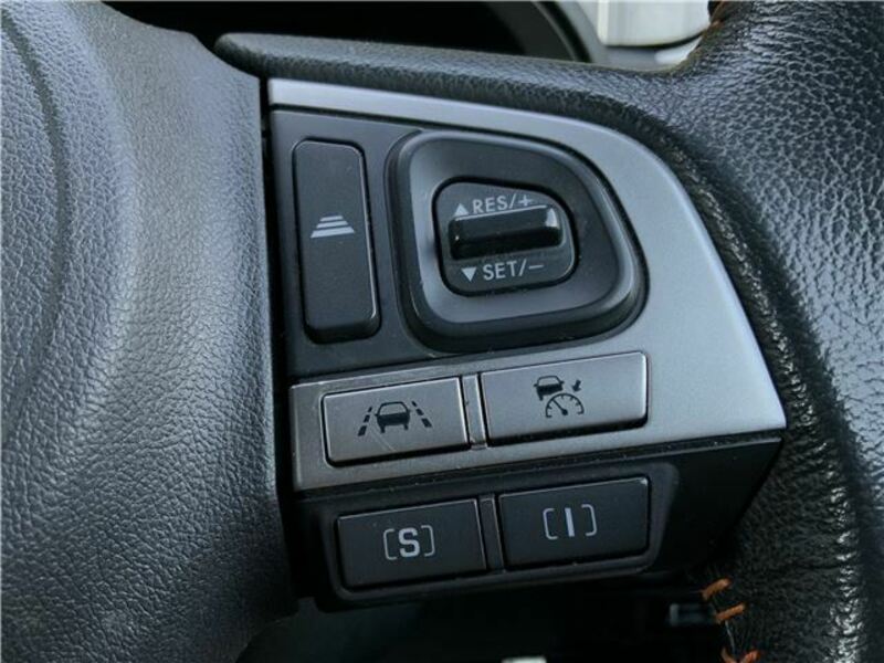 FORESTER-44