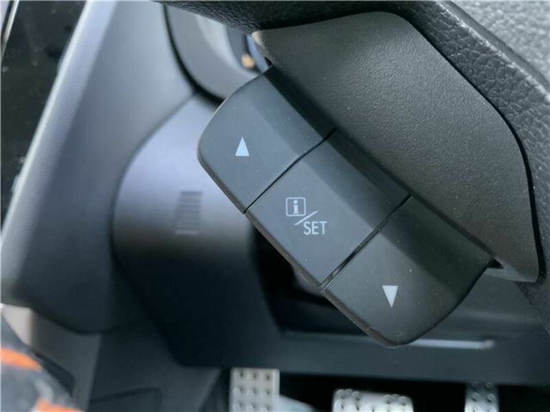 FORESTER-45