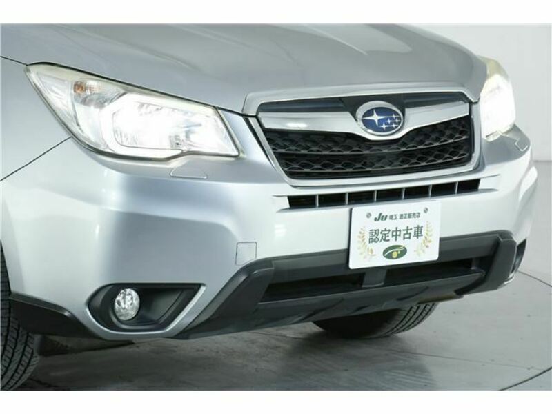 FORESTER-4