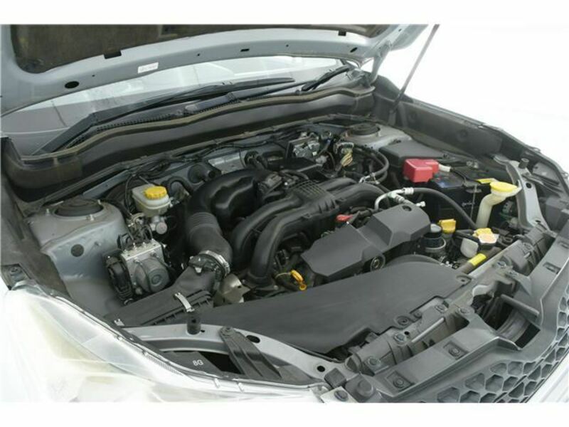 FORESTER-10