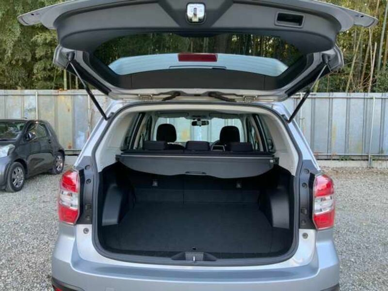 FORESTER-15