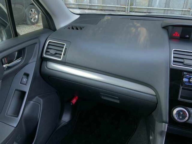 FORESTER-29