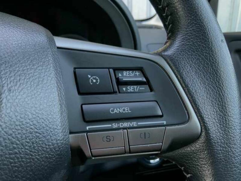 FORESTER-35