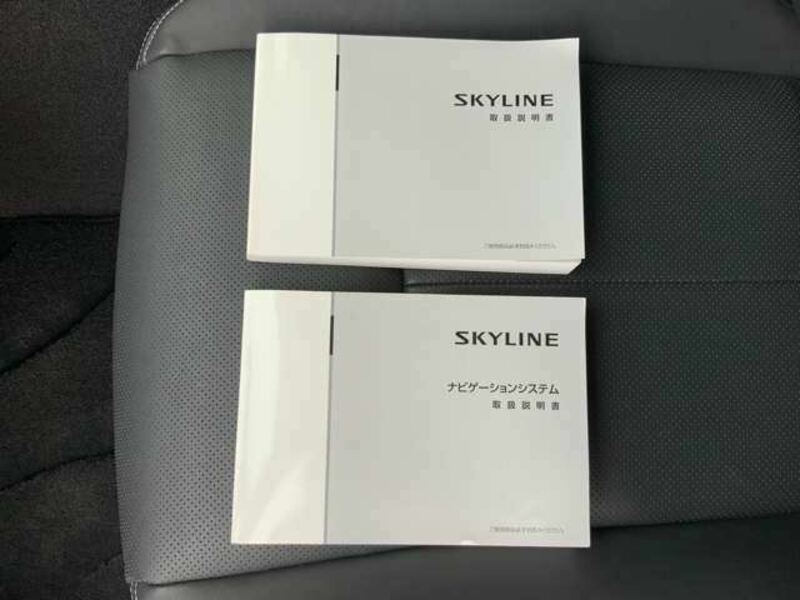 SKYLINE-49